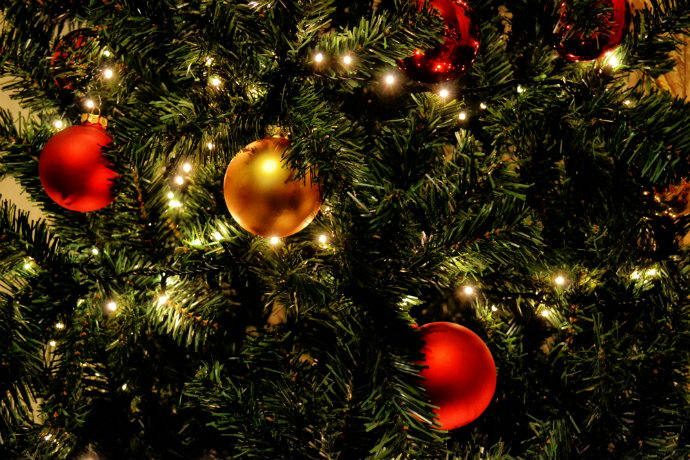 Photo of generic christmas tree.