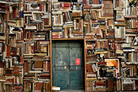 Image of a wall of books surrounding an old door