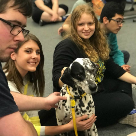 Therapy dogs with students