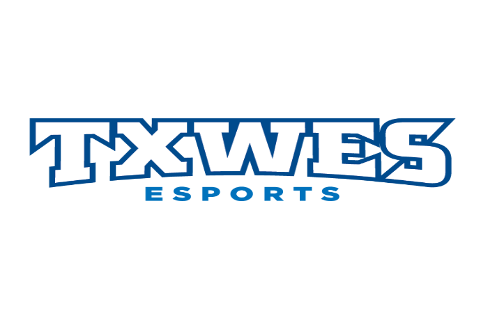 Esports logo