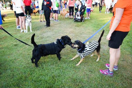 Texas Wesleyan has partnered with the American Kennel Club to promote Responsible Dog Ownership Month and will be teaching guests the importance of responsible pet ownership. We have also partnered with the Humane Society of North Texas to adopt out pets that are looking for their ‘fur’ever home and help fund their future community efforts by sharing the proceeds of the event with them.